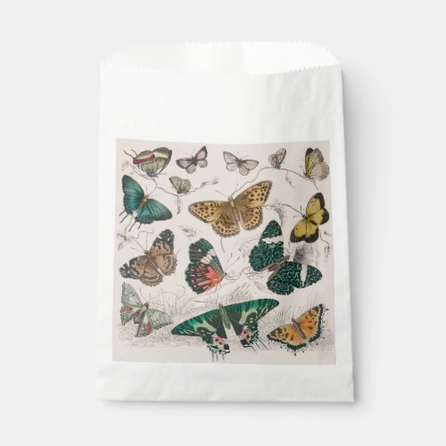 Butterfly Collection Antique Butterflies Favor Bag