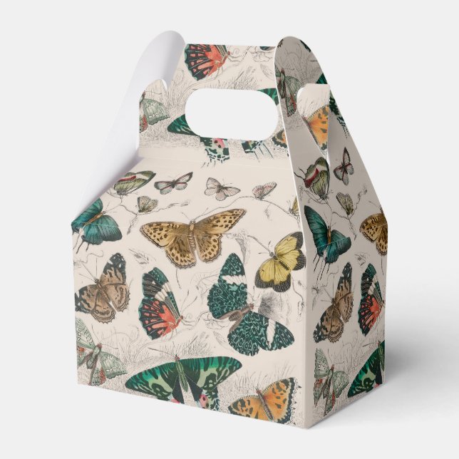 Butterfly Collection Antique Butterflies Favor Boxes (Front Side)