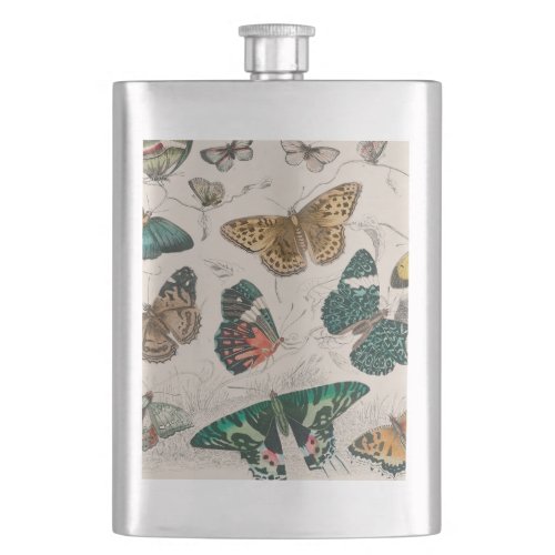 Butterfly Collection Antique Butterflies Flask