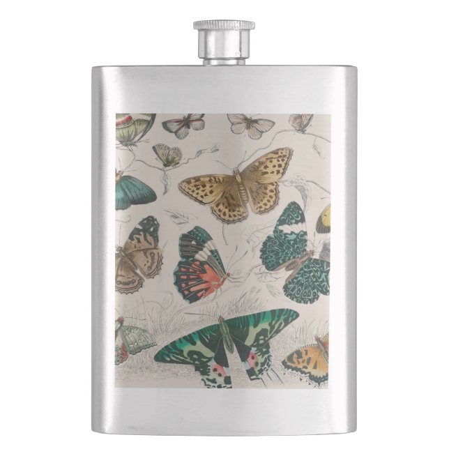 Butterfly Collection Antique Butterflies Flask (Front)
