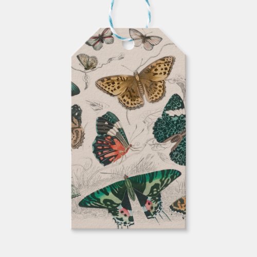 Butterfly Collection Antique Butterflies Gift Tags