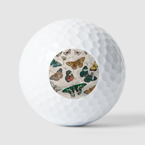 Butterfly Collection Antique Butterflies Golf Balls