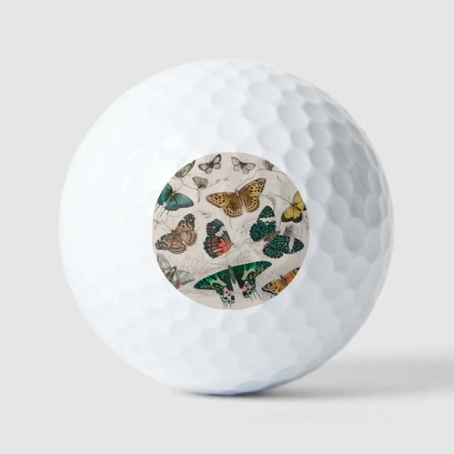 Butterfly Collection Antique Butterflies Golf Balls (Front)