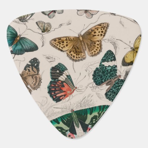 Butterfly Collection Antique Butterflies Guitar Pick