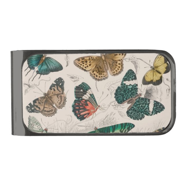 Butterfly Collection Antique Butterflies Gunmetal Finish Money Clip (Front)