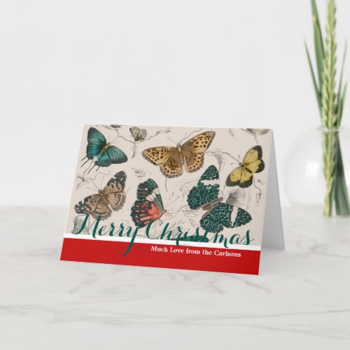 Butterfly Collection Antique Butterflies Holiday Card