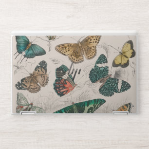 Butterfly Collection Antique Butterflies HP Laptop Skin