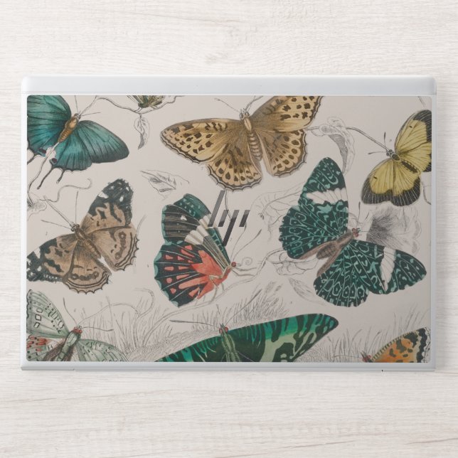 Butterfly Collection Antique Butterflies HP Laptop Skin (Front)