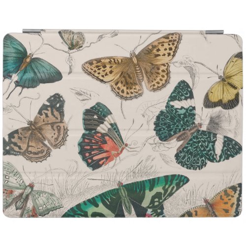 Butterfly Collection Antique Butterflies iPad Smart Cover