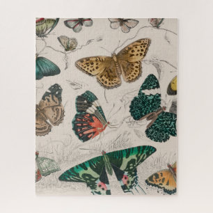 Butterfly Collection Antique Butterflies Jigsaw Puzzle