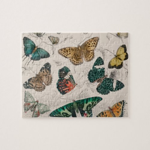 Butterfly Collection Antique Butterflies Jigsaw Puzzle