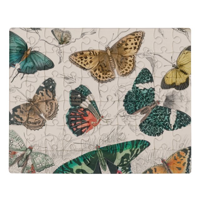 Butterfly Collection Antique Butterflies Jigsaw Puzzle (Puzzle Horizontal)