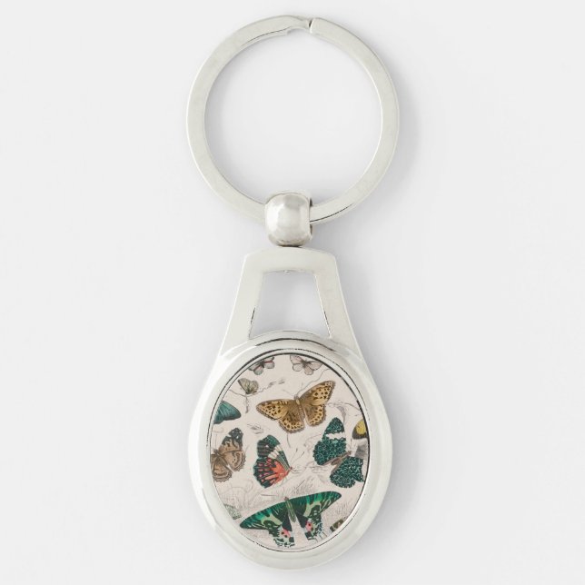 Butterfly Collection Antique Butterflies Keychain (Front)