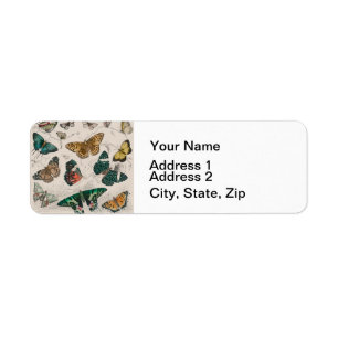 Butterfly Collection Antique Butterflies Label