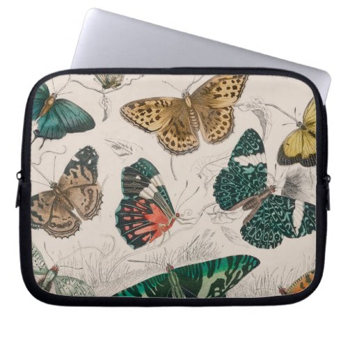 Butterfly Collection Antique Butterflies Laptop Sleeve