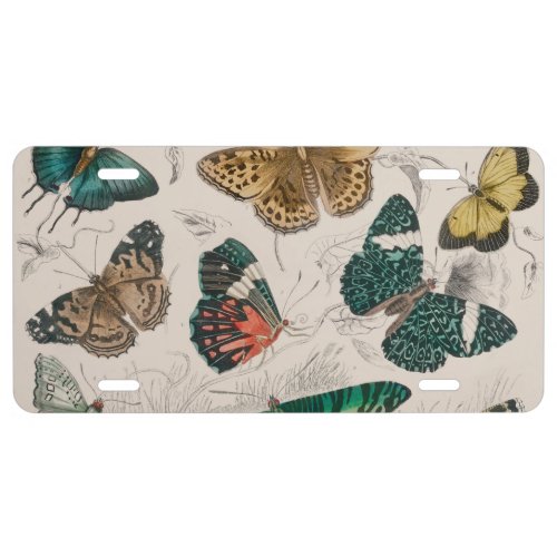 Butterfly Collection Antique Butterflies License Plate