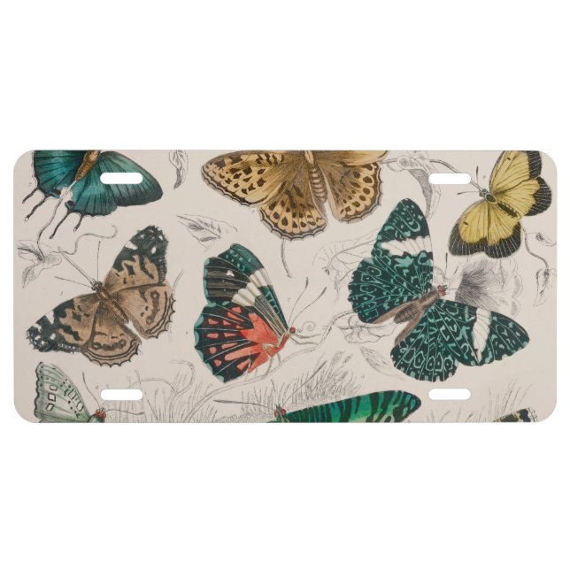 Butterfly Collection Antique Butterflies License Plate (Front)