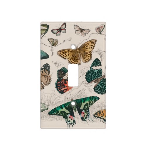 Butterfly Collection Antique Butterflies Light Switch Cover