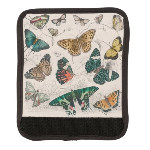 Butterfly Collection Antique Butterflies Luggage Handle Wrap