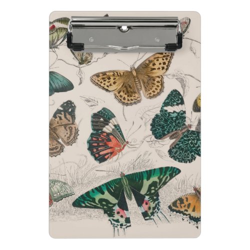 Butterfly Collection Antique Butterflies Mini Clipboard
