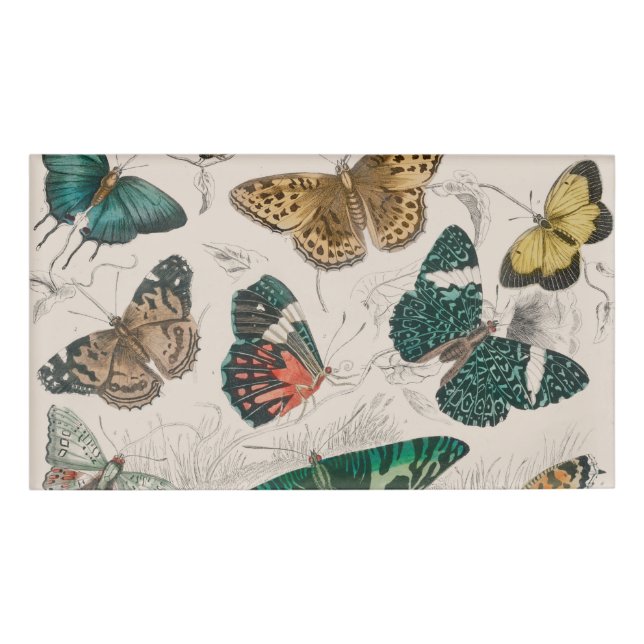 Butterfly Collection Antique Butterflies Name Tag (Front)