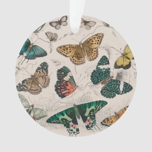 Butterfly Collection Antique Butterflies Ornament