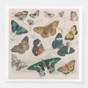 Butterfly Collection Antique Butterflies Paper Dinner Napkins