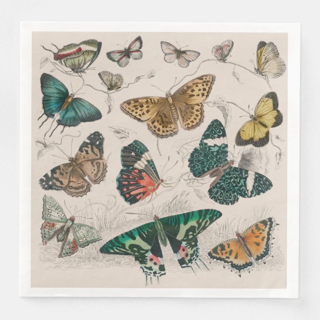 Butterfly Collection Antique Butterflies Paper Dinner Napkins (Front)