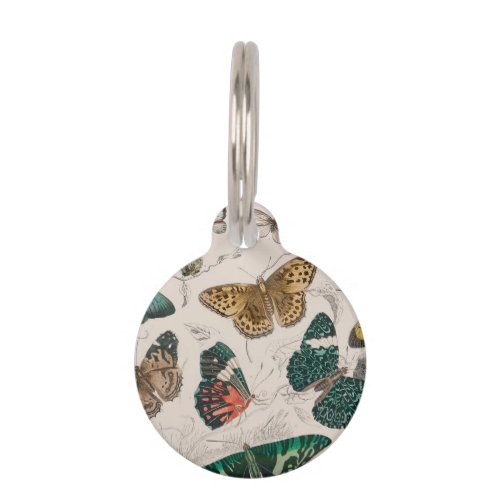 Butterfly Collection Antique Butterflies Pet ID Tag