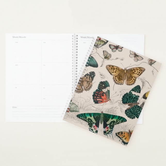 Butterfly Collection Antique Butterflies Planner (Display)