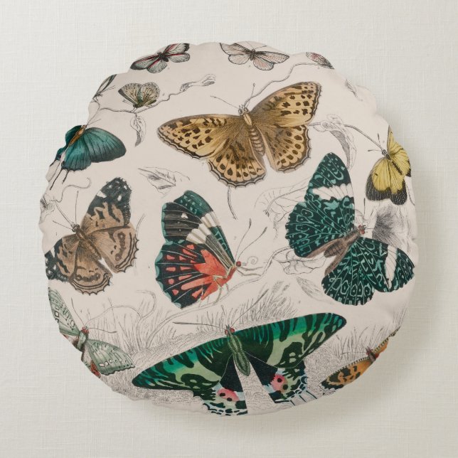 Butterfly Collection Antique Butterflies Round Pillow (Front)