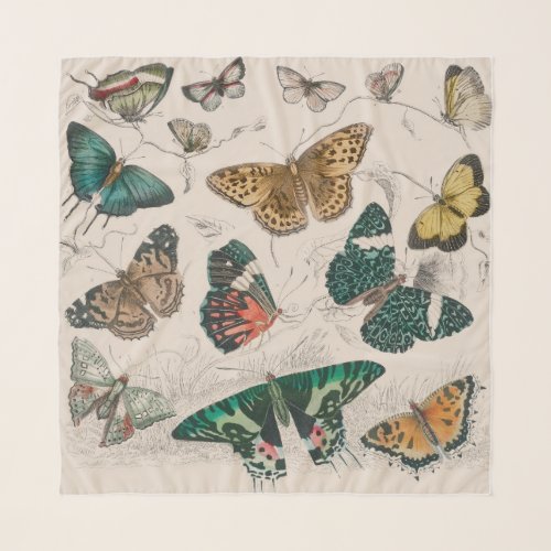 Butterfly Collection Antique Butterflies Scarf