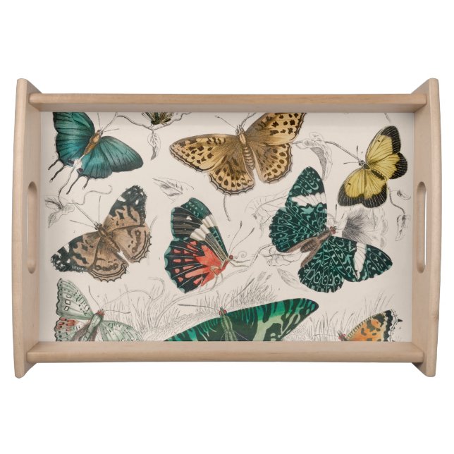 Butterfly Collection Antique Butterflies Serving Tray (Front)
