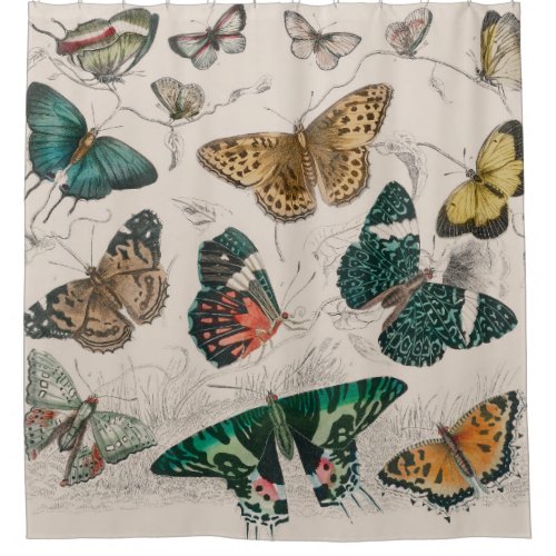 Butterfly Collection Antique Butterflies Shower Curtain