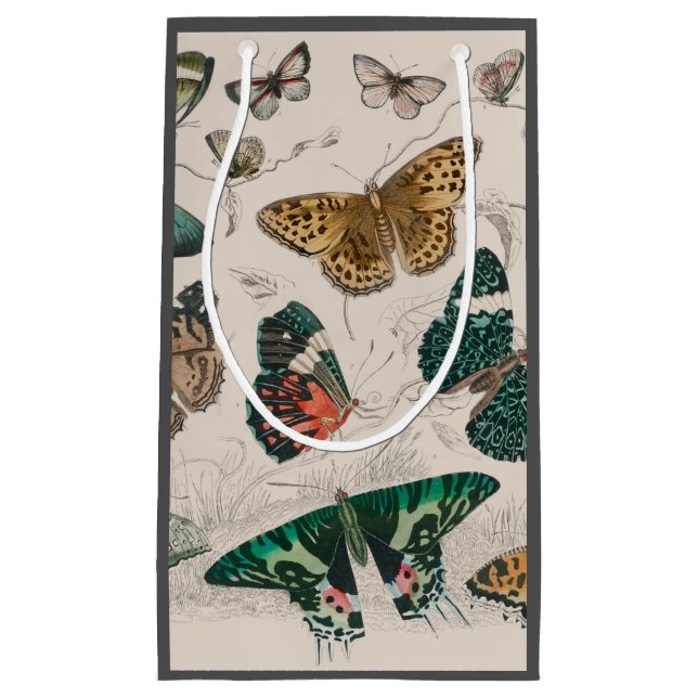 Butterfly Collection Antique Butterflies Small Gift Bag (Front)