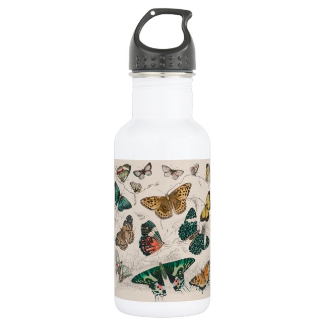 Butterfly Collection Antique Butterflies Stainless Steel Water Bottle (Front)