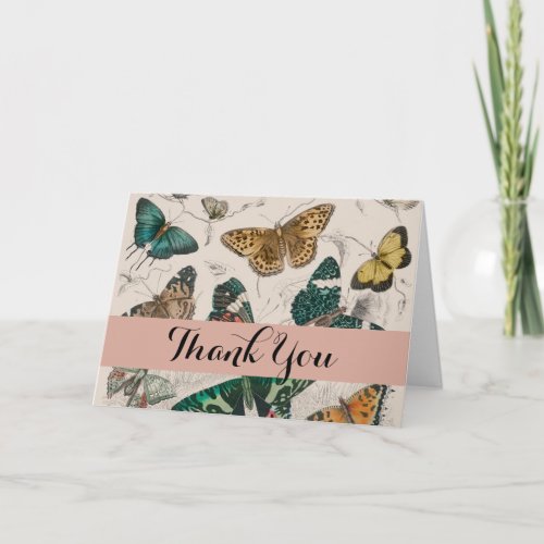 Butterfly Collection Antique Butterflies Thank You Card