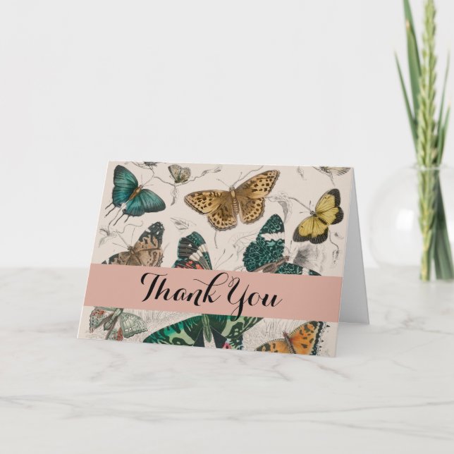 Butterfly Collection Antique Butterflies Thank You Card (Front)