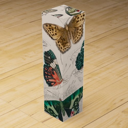 Butterfly Collection Antique Butterflies Wine Box
