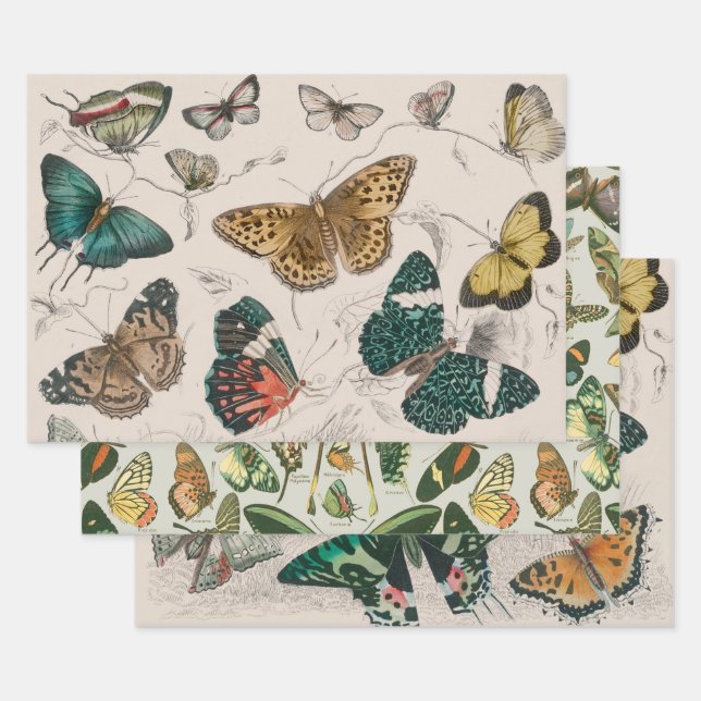 Butterfly Collection Antique Butterflies Wrapping Paper Sheets (Set)