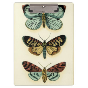 Butterfly Collection by Chariklia Zarris Clipboard