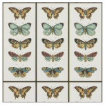 Butterfly Collection by Chariklia Zarris Fabric
