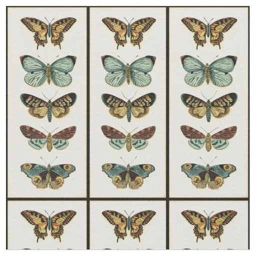 Butterfly Collection by Chariklia Zarris Fabric