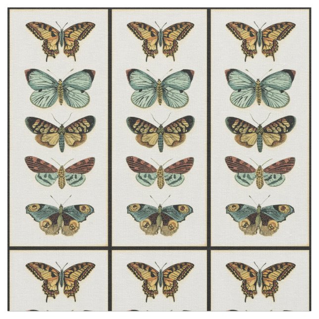 Butterfly Collection by Chariklia Zarris Fabric (Close Up)