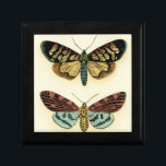Butterfly Collection by Chariklia Zarris Jewelry Box<br><div class="desc">This painting by Chariklia Zarris is a lepidopterists' dream! An amazingly detailed print of a butterfly collection,  this piece is stunning in its use of color. Get your copy today!</div>