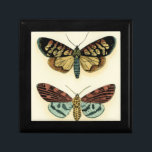 Butterfly Collection by Chariklia Zarris Jewelry Box<br><div class="desc">This painting by Chariklia Zarris is a lepidopterists' dream! An amazingly detailed print of a butterfly collection,  this piece is stunning in its use of color. Get your copy today!</div>