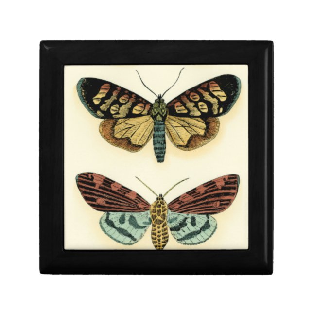 Butterfly Collection by Chariklia Zarris Jewelry Box (Front)