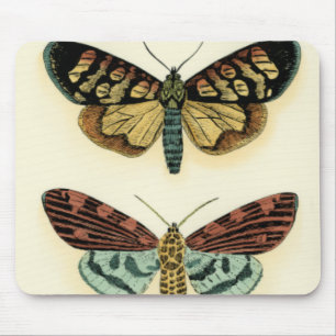 Butterfly Collection by Chariklia Zarris Mouse Pad