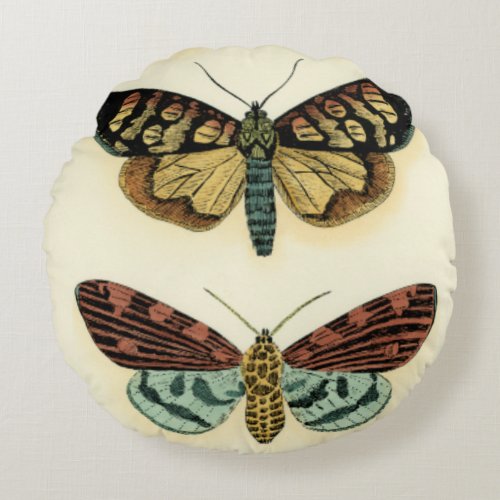 Butterfly Collection by Chariklia Zarris Round Pillow