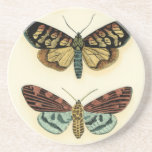 Butterfly Collection by Chariklia Zarris Sandstone Coaster
